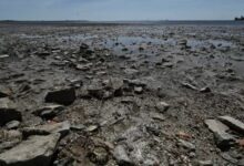 Photo of Каховское водохранилище пересыхает. О чем говорят  спутниковые снимки