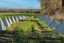 Photo of «Мы сейчас только с Мелитополем работаем. Все в том районе». Как Россия возводит укрепления на оккупированных территориях Украины