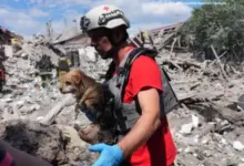 Photo of «Очень страшно». Как Запорожье живет под ежедневными атаками России, которые резко усилились